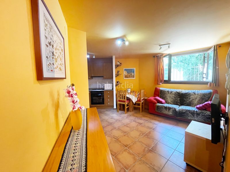 Foto baf20b6a-9106-4e47-9d76-60589547c97d. Appartement in carrer darrere in Rialp
