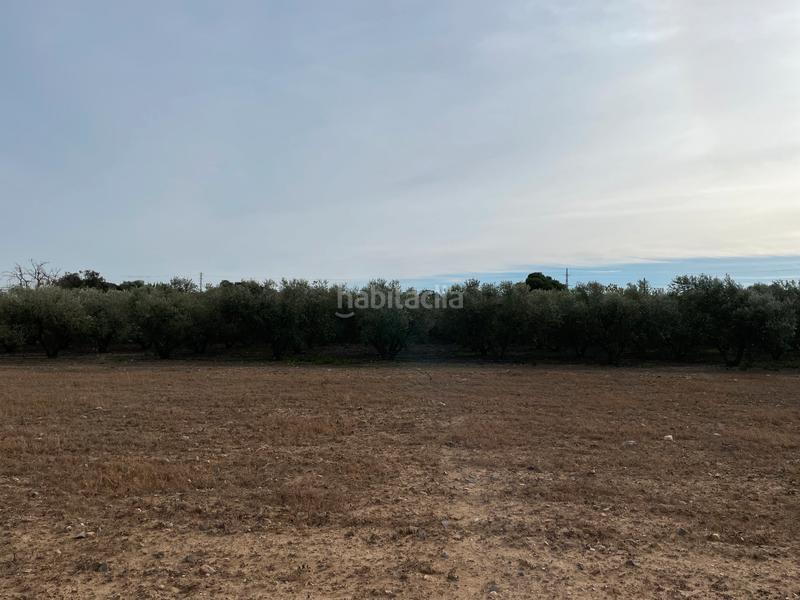 Foto 684aee5f-a00f-4115-a1e7-84efe80f6cf9. Fondo rustico in e-15 267 in Tarraco Cambrils