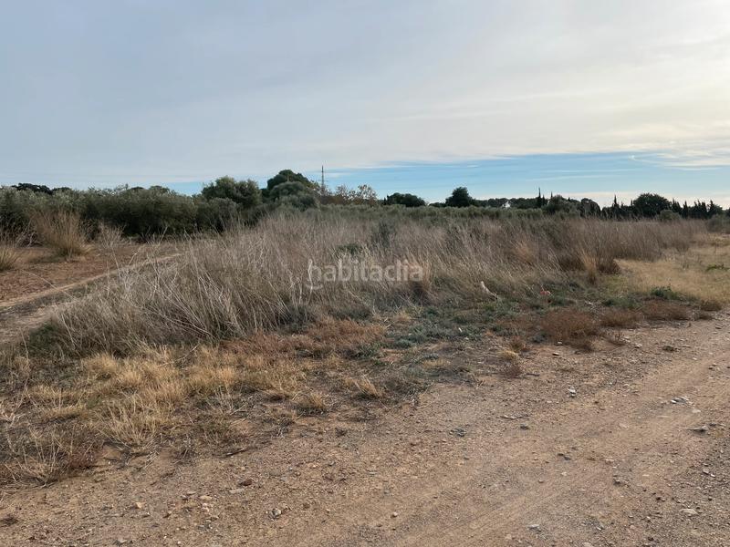 Foto 23476574-5b5a-4299-8dc7-79da25afd353. Finca rústica a e-15 267 a Tarraco Cambrils