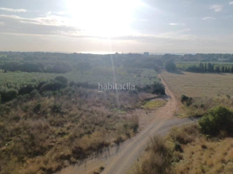 Foto 2bc57884-d9bc-4228-854e-1172b698f393. Finca rústica a e-15 267 a Tarraco Cambrils