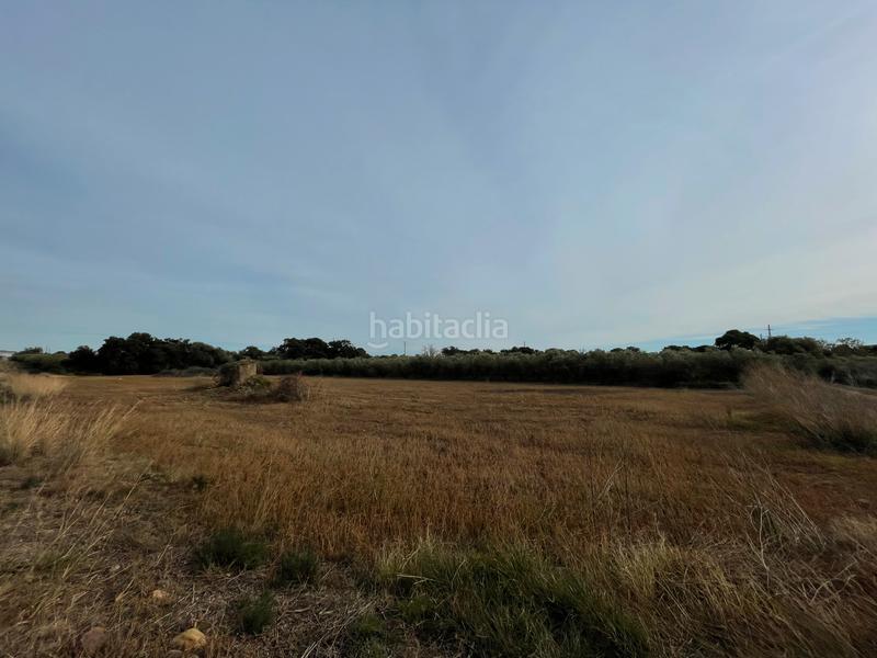 Foto 6c34028d-c660-4d73-83eb-9442738e360b. Finca rústica a e-15 267 a Tarraco Cambrils