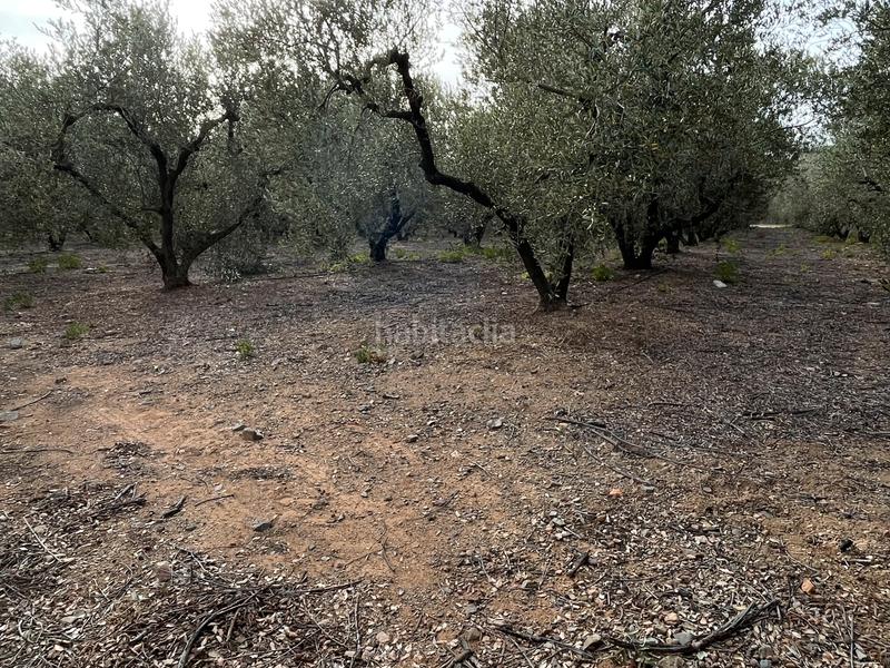 Foto f51a4348-6d7f-4d41-8b13-86595123e0c0. Finca rústica a e-15 267 a Tarraco Cambrils