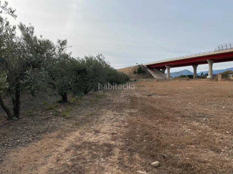 Foto adcf80c1-d30d-436f-906a-ddedeaf5292c. Finca rústica en e-15 267 en Tarraco Cambrils