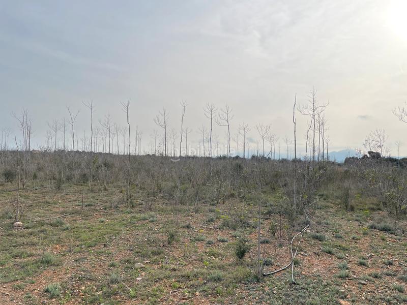 Foto 79b4fdb4-ef82-48dd-b0d8-d3fa236f4c6c. Propriété dans partida teixells 33 dans Tarraco Cambrils