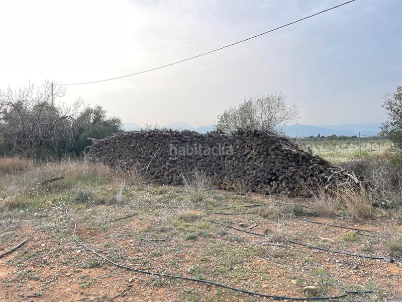 Foto 878c0920-df9d-4a45-a951-cd0ef6e0790e. Propriété dans partida teixells 33 dans Tarraco Cambrils
