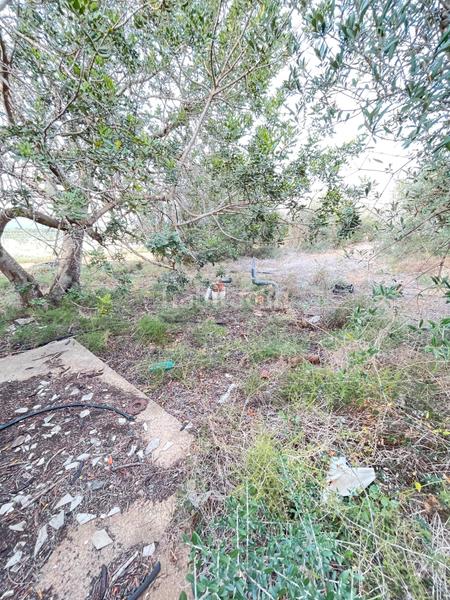 Foto 9047835c-e1e5-4f0a-b27b-9f4d523c4502. Finca rústica en partida teixells 33 en Tarraco Cambrils