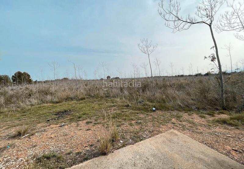 Foto c00c843c-be66-4ee0-9c53-023386c9735e. Finca rústica en partida teixells 33 en Tarraco Cambrils