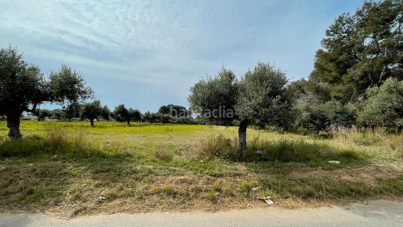 Foto d66d4602-fc7d-441e-bc2c-f4cc65838d46. Propriété dans partida guardamar 57 dans casc antic - nou Cambrils Cambrils