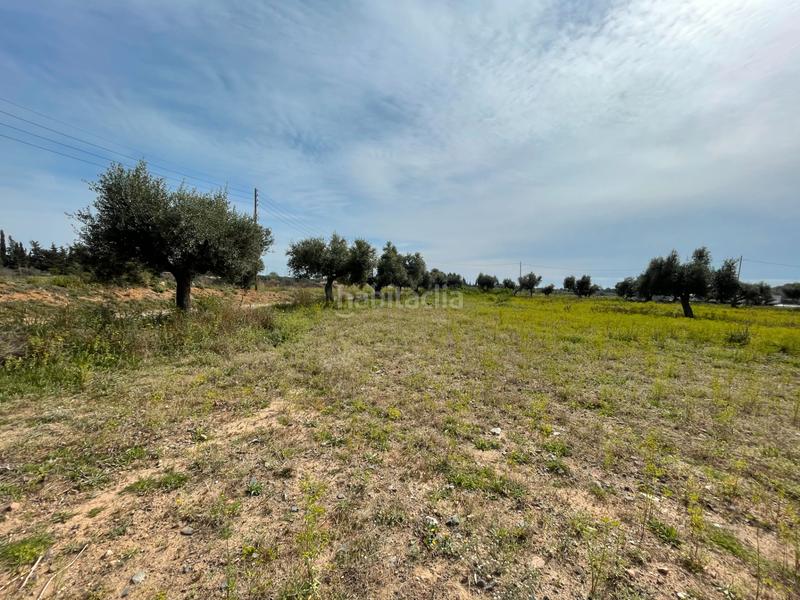 Foto 0076972d-08b5-4dfc-8857-06778f44fa1a. Rural plot in partida guardamar 57 in casc antic - nou Cambrils Cambrils