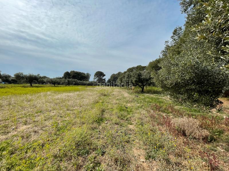 Foto 00ae991f-cd06-470b-b895-2dfa11e2986d. Rural plot in partida guardamar 57 in casc antic - nou Cambrils Cambrils