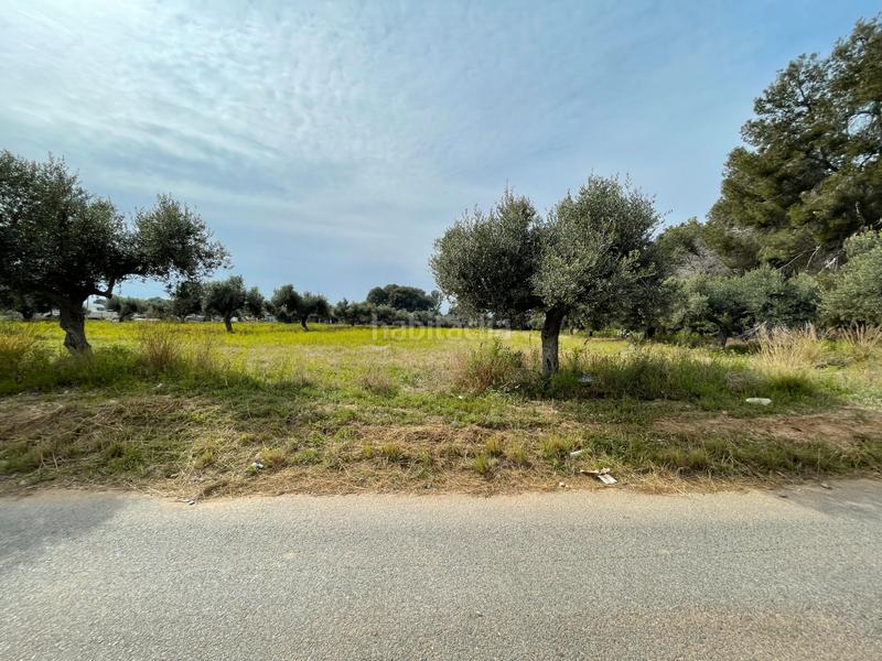 Foto 15a3bcb3-0c37-4c7b-bd5e-f6e2cab6eb31. Rural plot in partida guardamar 57 in casc antic - nou Cambrils Cambrils