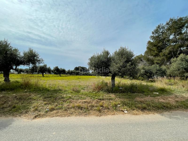 Foto 1985a9fe-132f-4153-a274-60ef1c642d4e. Rural plot in partida guardamar 57 in casc antic - nou Cambrils Cambrils