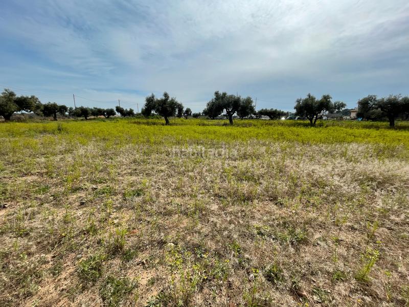 Foto 3ed439bf-45fd-431d-b365-0e0e97b8e94a. Rural plot in partida guardamar 57 in casc antic - nou Cambrils Cambrils