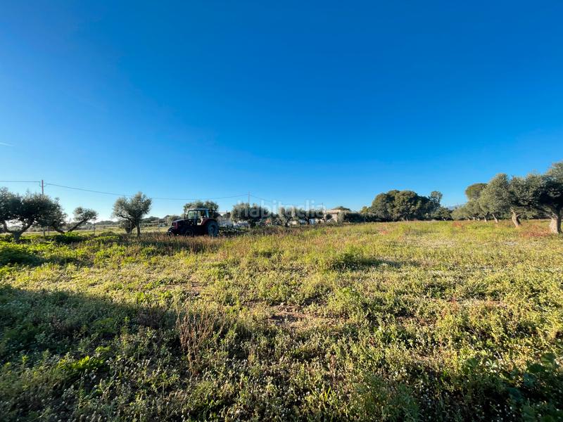 Foto 690d7a03-25f0-43a8-afc1-e2d0855fea9d. Rural plot in partida guardamar 57 in casc antic - nou Cambrils Cambrils