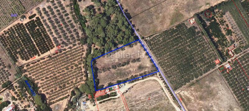 Foto 73401236-801e-488b-a7ca-9e5254ebce4f. Rural plot in partida guardamar 57 in casc antic - nou Cambrils Cambrils