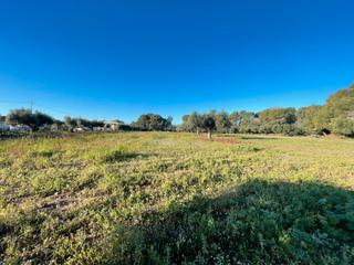 Rural plot in Partida guardamar 57