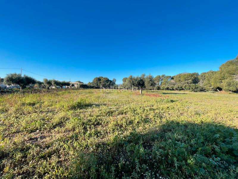 Foto bf140514-f596-491d-bacf-ce00aff424e3. Rural plot in partida guardamar 57 in casc antic - nou Cambrils Cambrils