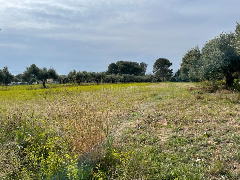 Foto 4c582fd6-9ecd-4268-9a69-b21e5166f8e1. Finca rústica a partida guardamar 57 a casc antic - nou Cambrils Cambrils