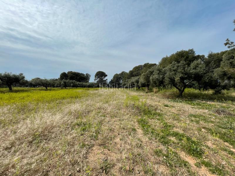 Foto 4d22b38c-9510-4a0c-83af-e684a09f2a6e. Finca rústica en partida guardamar 57 en casc antic - nou Cambrils Cambrils