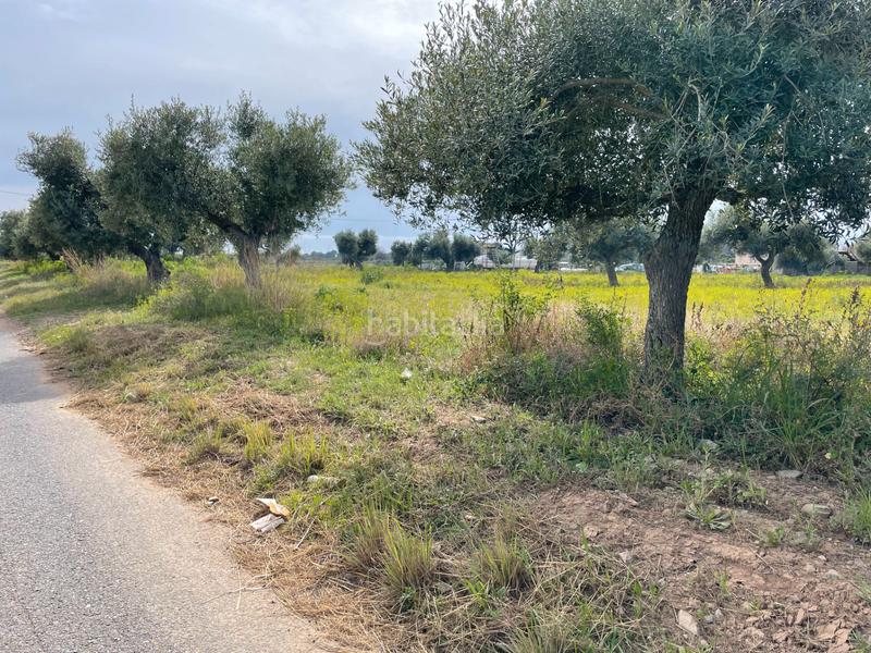 Foto fa8b3c1a-dbd5-4064-a912-bcddfa63e8d4. Finca rústica en partida guardamar 57 en casc antic - nou Cambrils Cambrils