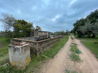Rural plot in Partida guardamar 44
