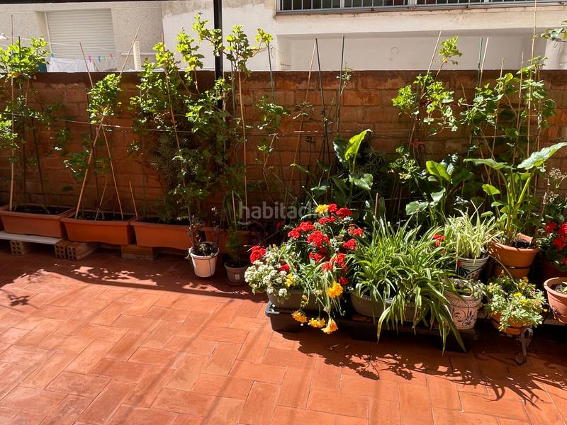 Foto 3737ed59-e5c9-4a08-81c1-fdd9c579eb25. Pis a carrer de sant isidre 8 a Port - Horta de Santa Maria Cambrils