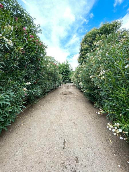 Foto 3191679c-075d-435b-8aa7-6eb4e974f266. Bauernhof in carrer de sant antoni 95 in Riudoms