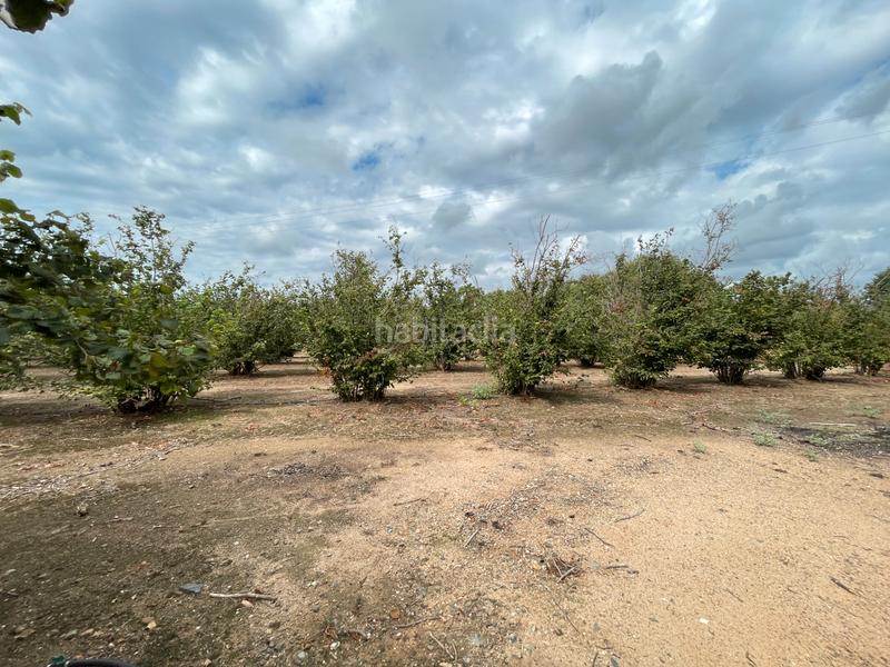 Foto 76019701-2cdc-4e27-9458-c1f1f3245322. Bauernhof in carrer de sant antoni 95 in Riudoms