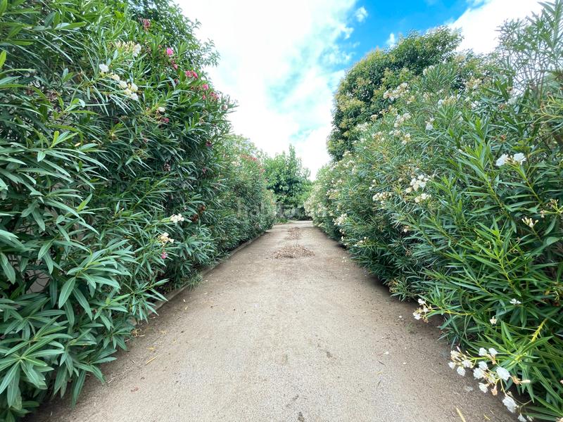 Foto 92a61370-2bf8-4e42-b185-4381a180d1e2. Bauernhof in carrer de sant antoni 95 in Riudoms