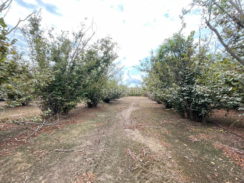 Foto d686d713-4037-45b2-9f4b-ec69864552bd. Bauernhof in carrer de sant antoni 95 in Riudoms