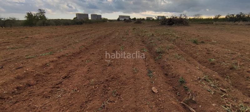 Foto 232bb907-3ba0-410a-828e-51550c60b706. Finca rústica a n/a a Constantí