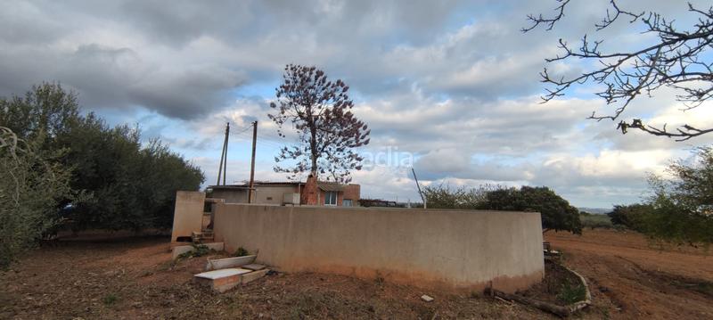 Foto 23b7e8ff-3c22-4538-a78b-e7992559a0d8. Finca rústica a n/a a Constantí