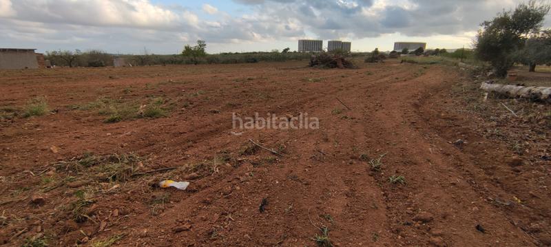 Foto 416cc47b-e0ed-4c15-9a51-9c2e9d664b93. Finca rústica a n/a a Constantí