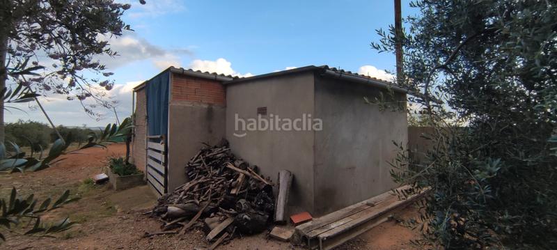 Foto 9a12245f-026b-45ea-a842-e44cea92a7ad. Finca rústica a n/a a Constantí