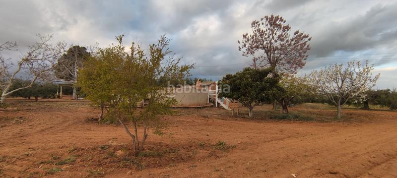 Foto c3be5cce-1dd3-4b4c-b150-635992f7eee6. Finca rústica a n/a a Constantí