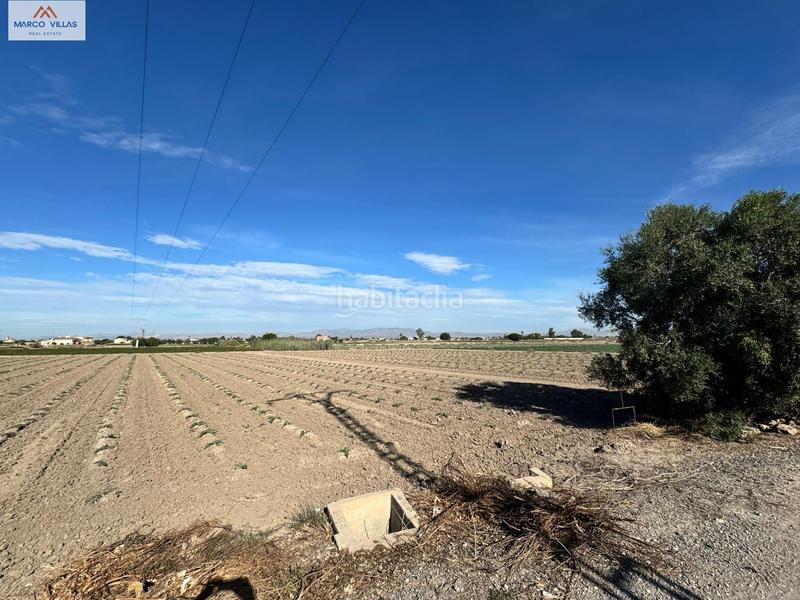 Foto 16d7b6f3-b655-41a0-a4d3-6bb0f9c2281a. Finca rústica 1231lm en Dolores