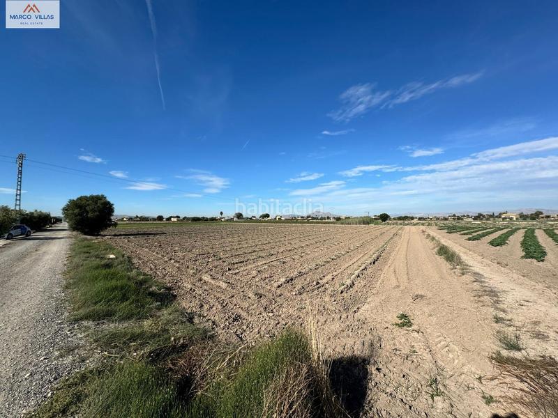 Foto 86577642-3236-4017-a4c4-d46865f54731. Finca rústica 1231lm en Dolores