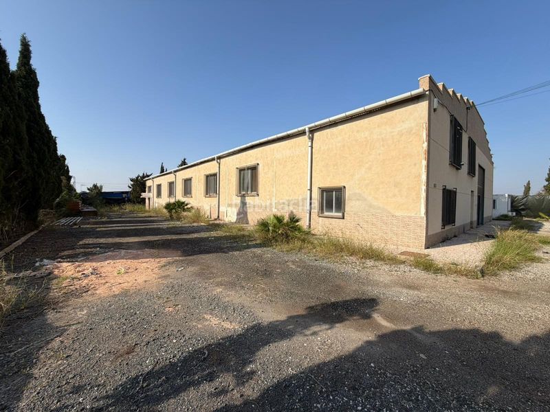 Foto ab0effdd-06ba-40d3-9315-394b27fb36dc. Nau industrial a La Foia - Daimés - Asprella Elche / Elx