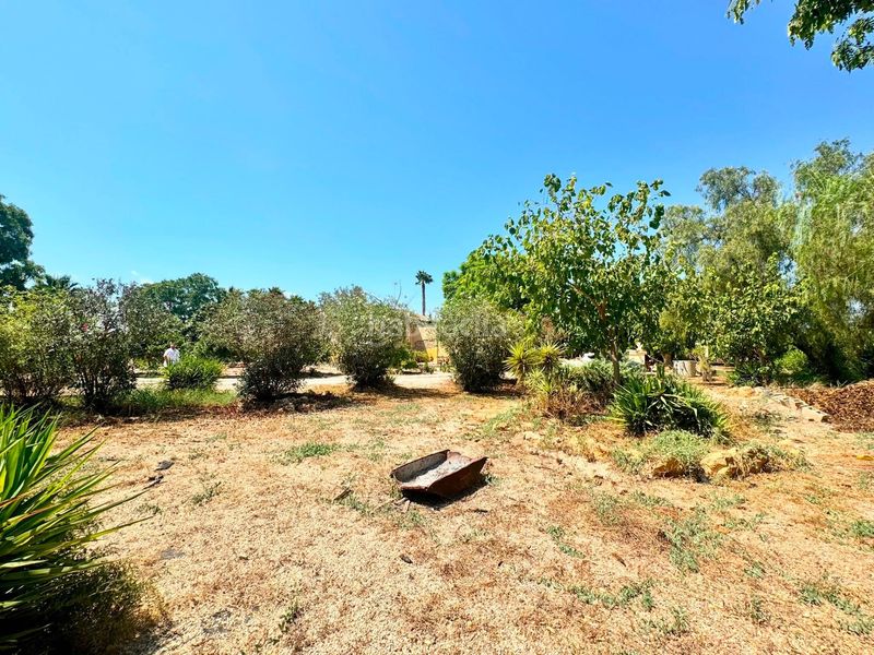 Foto 8be5df19-ba9e-4849-8772-99dbeeaa3625. Casa amb aparcament piscina a La Foia - Daimés - Asprella Elche / Elx