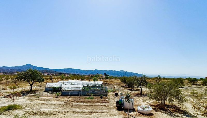 Foto 5b5f7f9f-1de6-4cb6-9b2d-f4c5790c4031. Masia amb aparcament a Abanilla