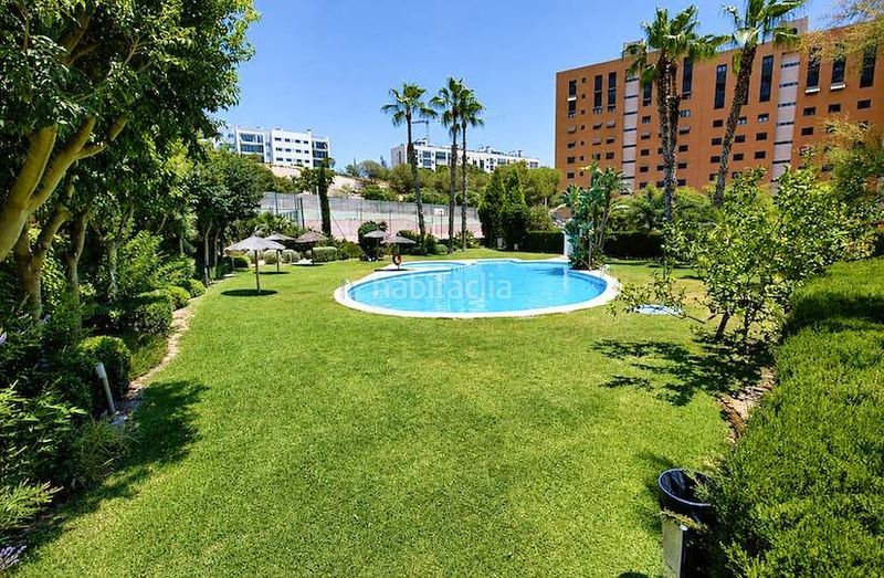 Foto 4424fe6b-1336-4bb1-9b6a-2b9d0f2080bb. Àtic amb calefacció aparcament piscina a Paus - Polígono San Blas Alicante