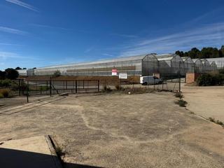 Terreny residencial a Bolbaite. Excelente explotación agricola en venta.