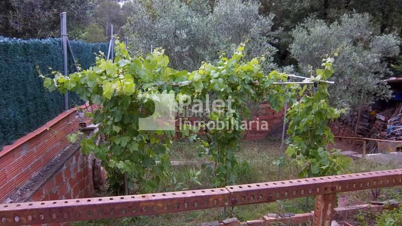 Foto a63599f1-7e56-4106-8595-e8ea91aca3d2. Terreno residencial parcela en can gell en Torrelles de Llobregat