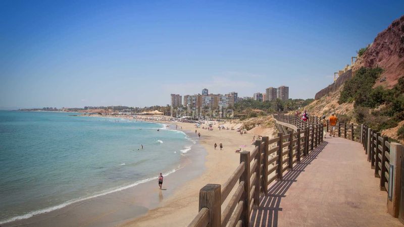 Foto 7966cb7f-30e0-4227-b244-880a4f9cf3eb. Apartament a calle teodoro llorente 6 a Campoamor Orihuela
