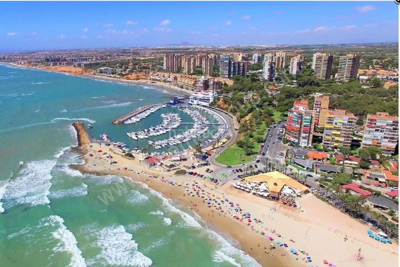 Foto cd5780bb-bbe1-4c02-9968-adcac656edbb. Apartament a calle teodoro llorente 6 a Campoamor Orihuela