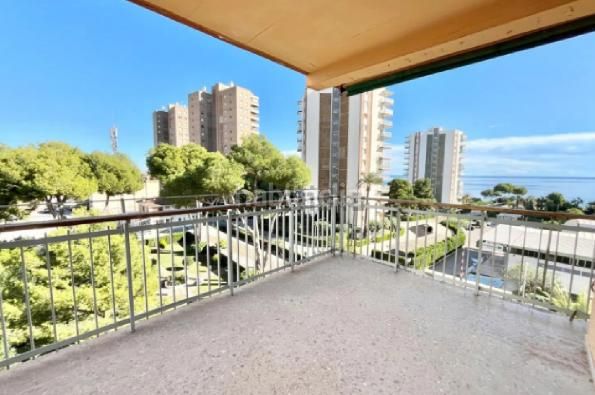 Foto 6e3ecb05-9d48-4574-826e-0663ff6732db. Apartament a calle teodoro llorente 4 a Campoamor Orihuela