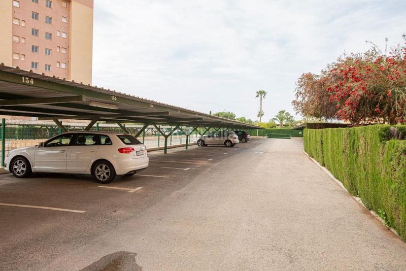 Foto e73ba64d-5f52-433a-bfcb-b90ab0e3bcc3. Apartament a calle concha espina 5 a Campoamor Orihuela