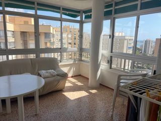 Rent Apartment in Calle teodoro llorente 6. Excelente apartamento 2 habitaciones dehesa de campoamor