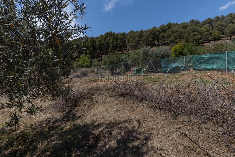 Foto 9358245a-b2d3-421a-a517-7fdfeb6df645. Terreno residencial terreno urbanizable en una zona tranquila y demandada con 687 m2 de superficie parcela. en Granada