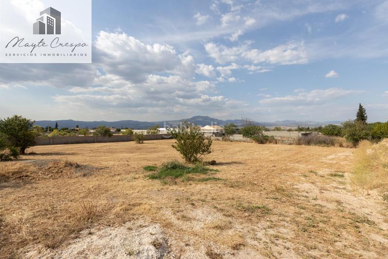 Foto 1db72ae5-f2c0-4c2f-b0d2-2b1f6e89c3a5. Finca rústica terreno rústico en los tablazos en Moraleda de Zafayona